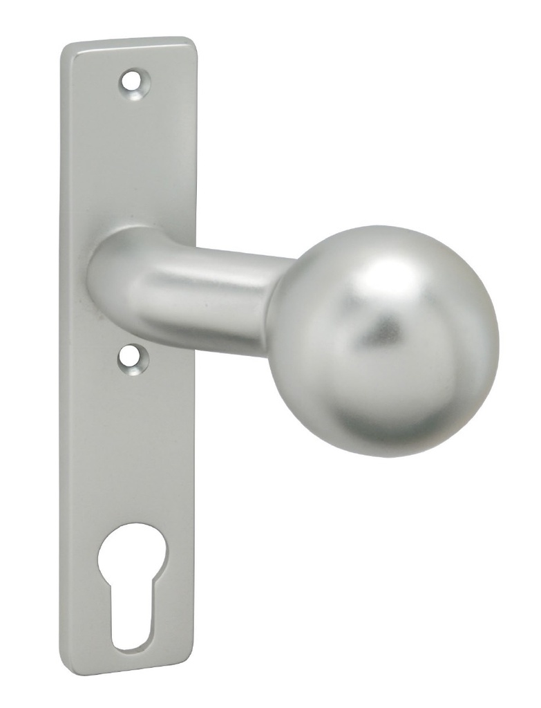 [5995210] WEKA KOGELKNOP OP KORTSCHILD MODEL 2000/170 VOOR POORTSLOT (Fixed)