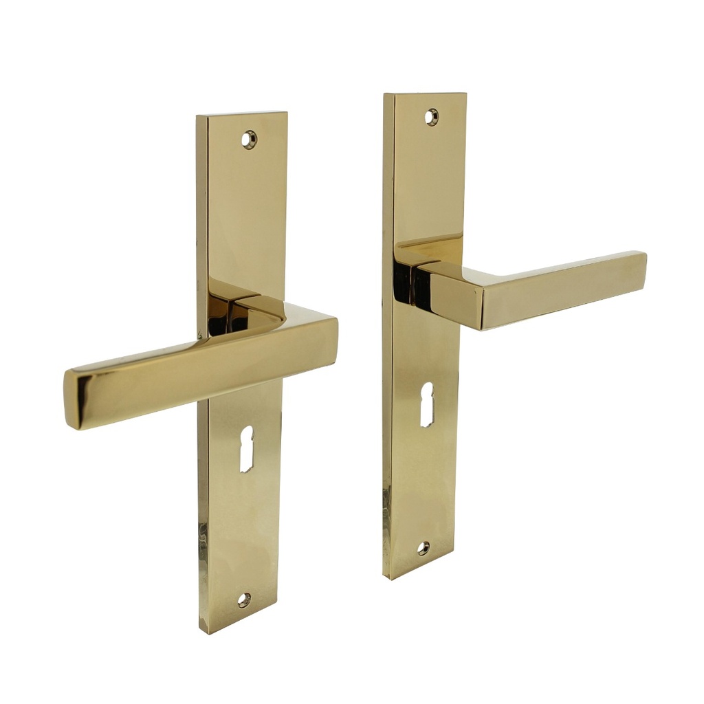 [0013.174424] INTERSTEEL HERA KRUKKENPAAR OP SCHILD MET BB (Brass)