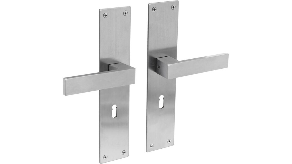 [0035.057124] INTERSTEEL AMSTERDAM KRUKKENPAAR OP SCHILD MET SLEUTELGAT (acier inoxydable brossé, 56)