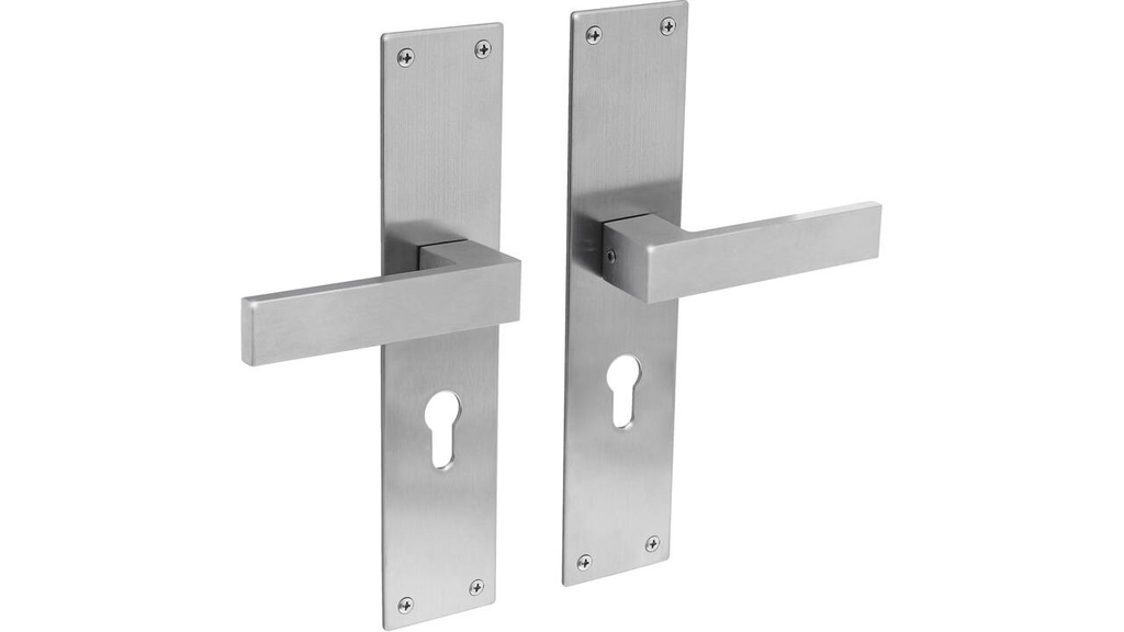 INTERSTEEL AMSTERDAM KRUKKENPAAR OP SCHILD MET PROFIELCILINDERGAT