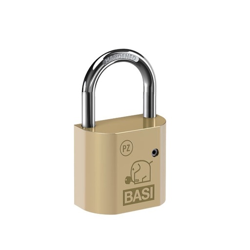 [PZ5090-0000] BASI HANGSLOT ZONDER HALVE CILINDER (Long)