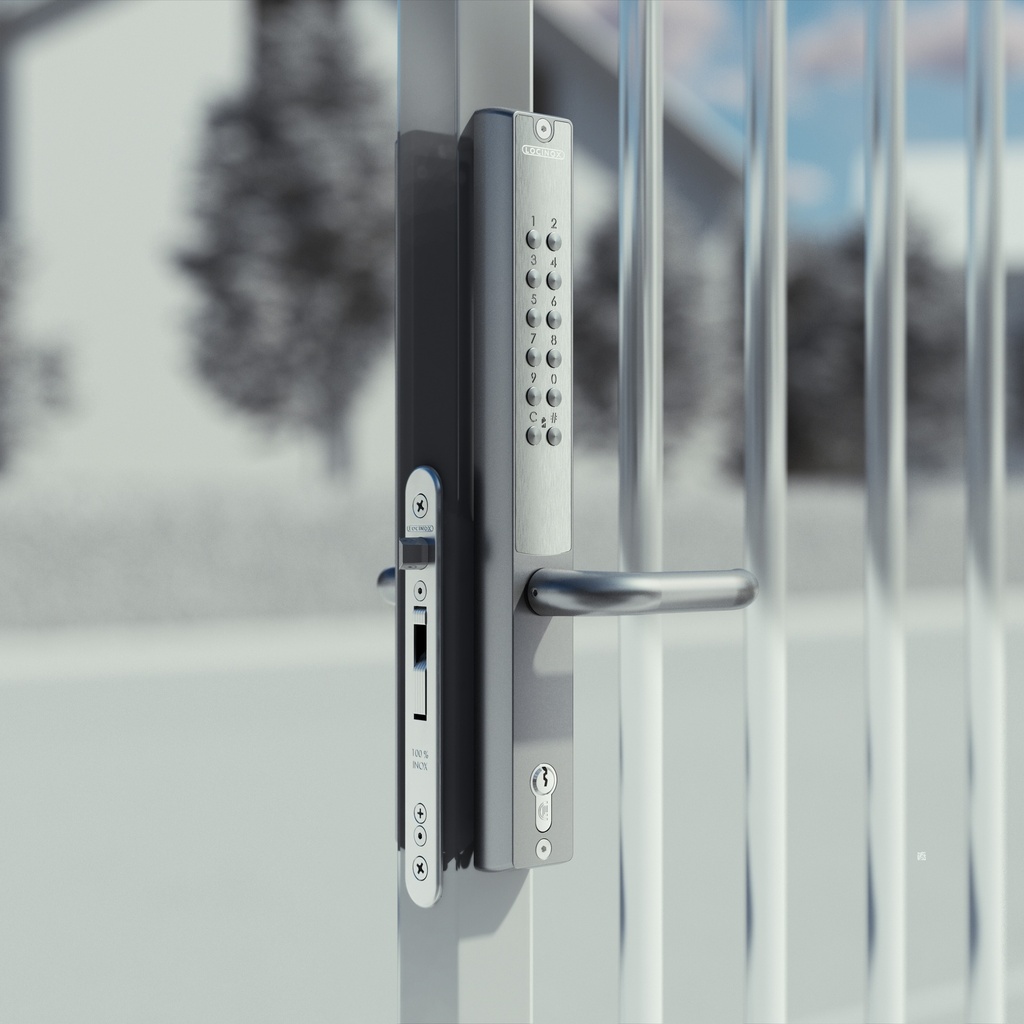 LOCINOX VERA SET MET KRUK BATTERIJGEVOED CODESLOT VOOR INSTEEKSLOTEN