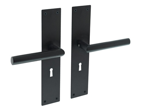 INTERSTEEL JURA KRUKKENPAAR OP SCHILD MET SLEUTELGAT