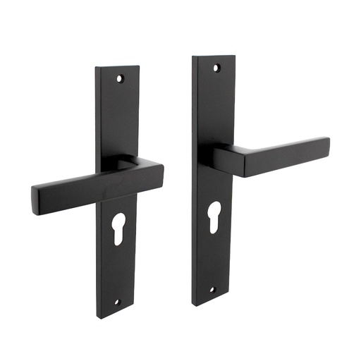 INTERSTEEL JURA KRUKKENPAAR OP SCHILD MET PROFIELCILINDERGAT